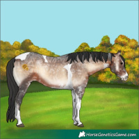 Horse Color:Brown Ice Onyx Sabino Tobiano