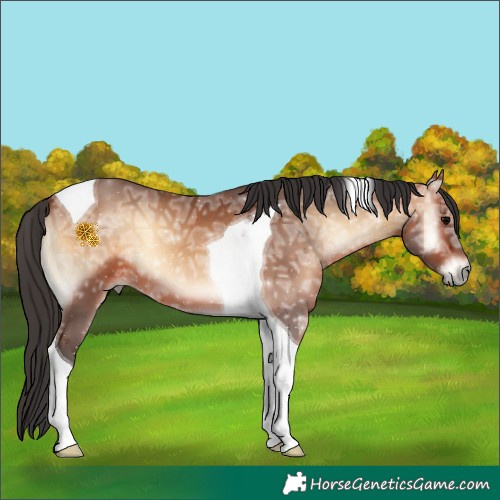 Horse Color:Bay Ice Onyx Tobiano 