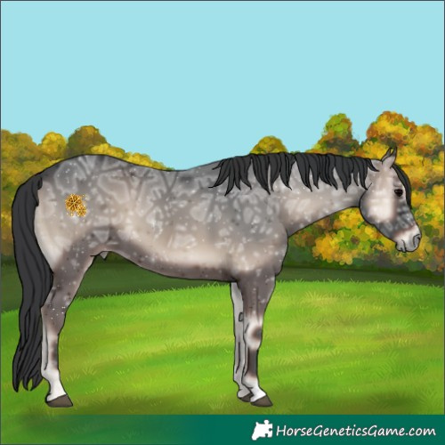 Horse Color:Blue Onyx Ice 