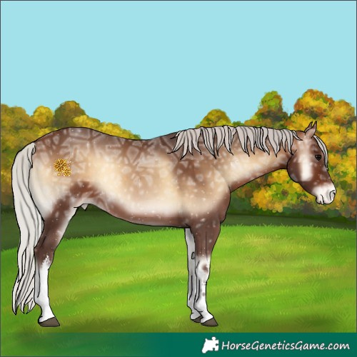 Horse Color:White Spotted Silver Brown Ice Onyx Tobiano Appaloosa 
