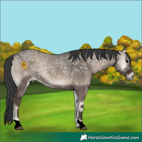 Horse Color:Grullo Ice Onyx Rabicano 