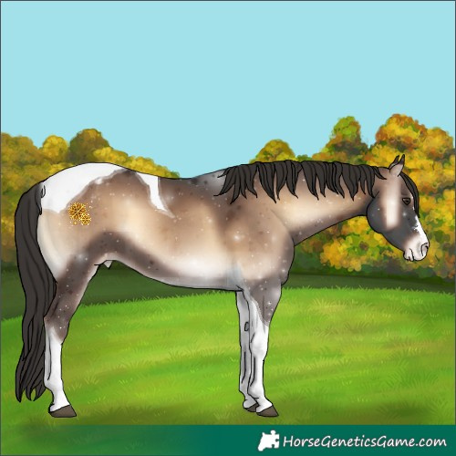 Horse Color:Liver Red Onyx Tobiano Varnish 