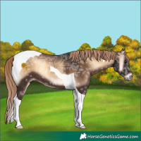 Horse Color:Liver Red Onyx Ice Tobiano 