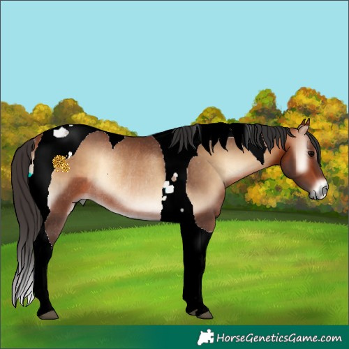 Horse Color:Bay Onyx Tobiano Rabicano 