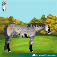 Horse Color:Blue Onyx Ice Sabino