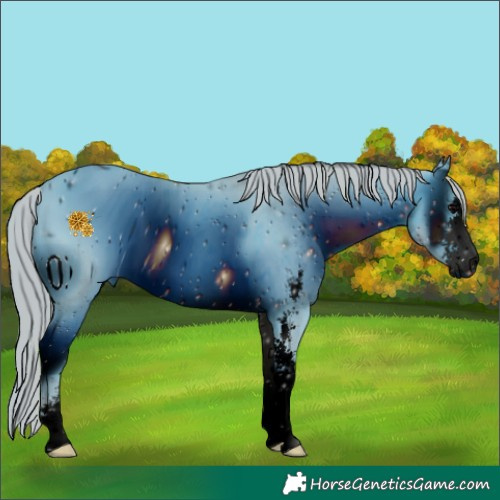 Horse Color:ERROR: UNKNOWN ANOMALY