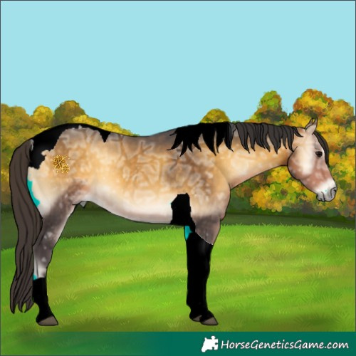 Horse Color:Buckskin Ice Onyx Tobiano 