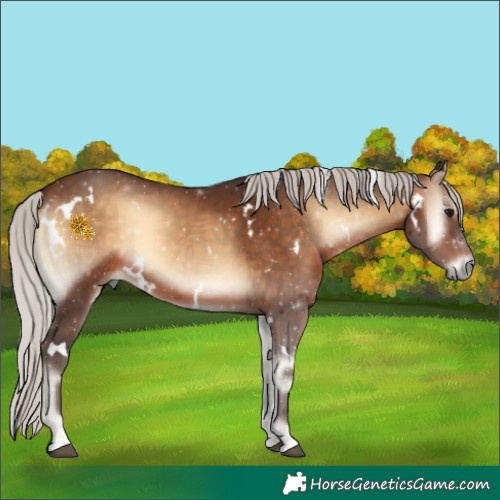 Horse Color:White Spotted Silver Brown Onyx 
