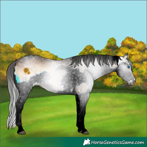 Horse Color:Gray Liver Red Onyx Splash Tobiano 