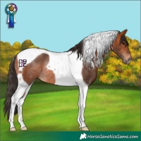 Horse Color:Bay Tobiano Rabicano