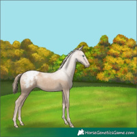 Horse Color:Perlino Snowcap 