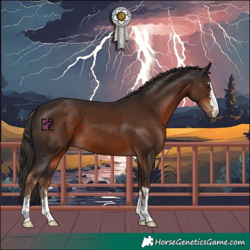 Horse Color:Liver Chestnut 