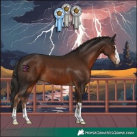 Horse Color:Liver Chestnut 
