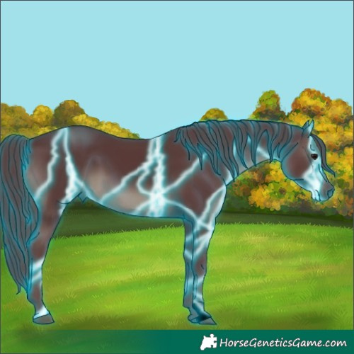 Horse Color:Void Thunderstruck Chocolate Black 