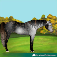 Horse Color:Gray Void Gold Champagne Roan Leopard 