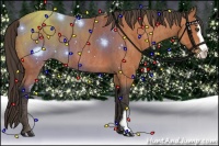 Horse Color:Bay Splash Frame  Brindle