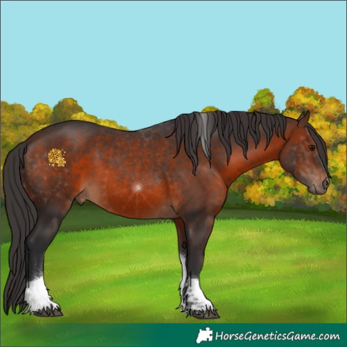 Horse Color:Brown Tobiano 
