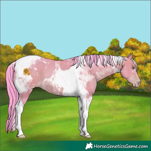 Horse Color:Gray Watercolor Amber Champagne Tobiano 