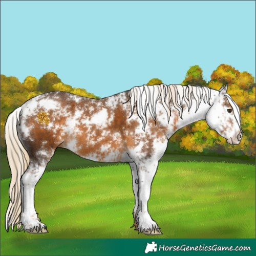 Horse Color:Chocolate Palomino Sabino 