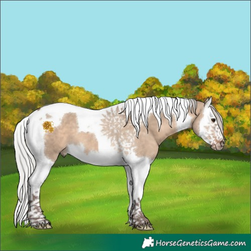 Horse Color:Silver Brown Dun Splash Tobiano 