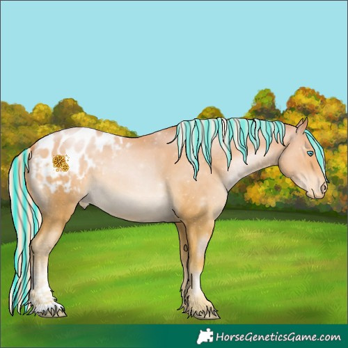 Horse Color:Painted Palomino Pearl Appaloosa 