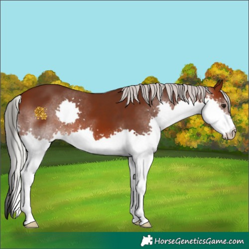 Horse Color:Silver Brown Splash 