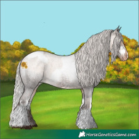 Horse Color:Silver Brown Roan Dun Appaloosa  and White Spotted Silver Brown Roan Appaloosa 