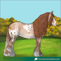 Horse Color:Chocolate Palomino Near Leopard  and Gold Champagne Roan Splash 