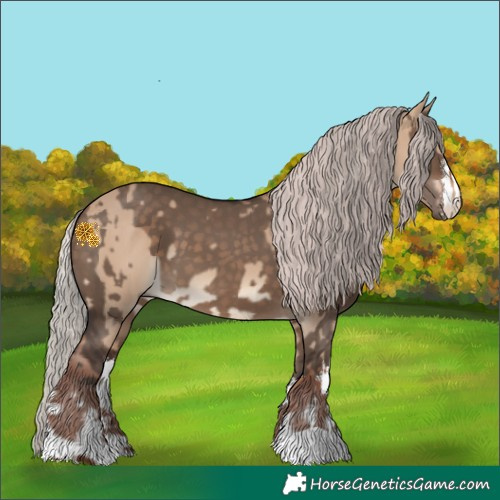 Horse Color:Chocolate Silver Bay Dun  and White Spotted Silver Brown Dun 