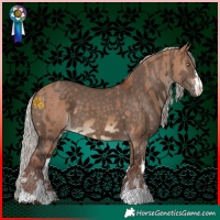 Horse Color:Chocolate Silver Bay Dun  and White Spotted Silver Brown Dun 