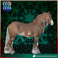 Horse Color:Chocolate Silver Bay Dun  and White Spotted Silver Brown Dun 
