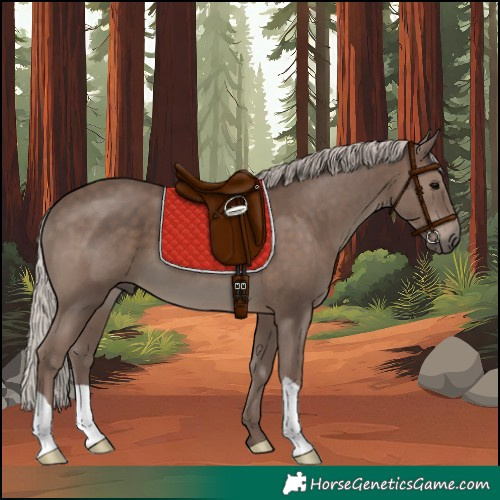 Horse Color:Silver Black 