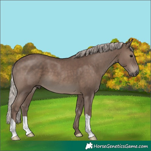 Horse Color:Silver Black 