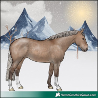 Horse Color:Silver Brown Dun