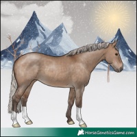 Horse Color:Silver Brown Dun 