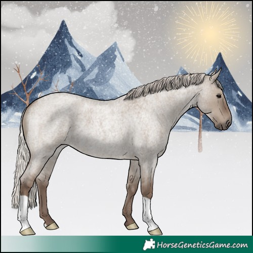 Horse Color:Silver Grullo Roan 