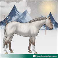 Horse Color:Silver Grullo Roan 
