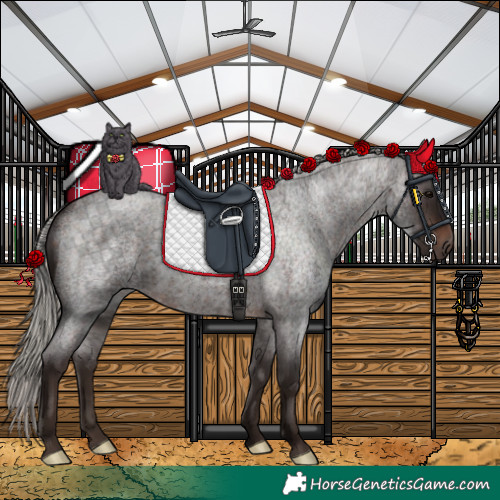 Horse Color:Silver Brown Roan