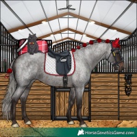 Horse Color:Silver Brown Roan 