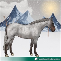 Horse Color:Silver Brown Roan 