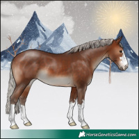 Horse Color:Silver Brown 