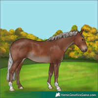 Horse Color:Silver Black 