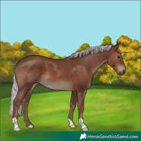 Horse Color:Silver Black 