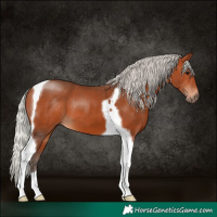 Horse Color:Silver Bay Tobiano 