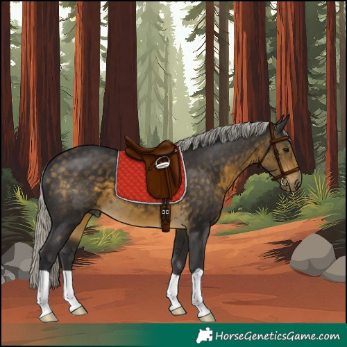 Horse Color:Silver Buckskin 
