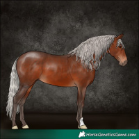 Horse Color:Silver Brown 