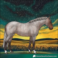 Horse Color:Silver Brown Roan Rabicano