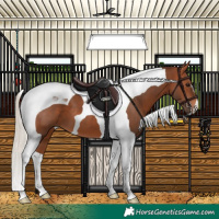 Horse Color:Silver Brown Tobiano 