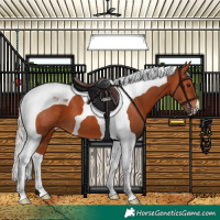 Horse Color:Silver Brown Tobiano 