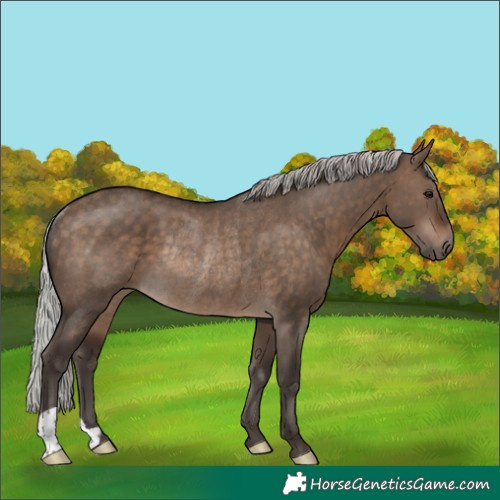Horse Color:Silver Brown Dun Rabicano 